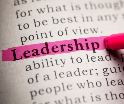 page of book with leadership highlighted in pink